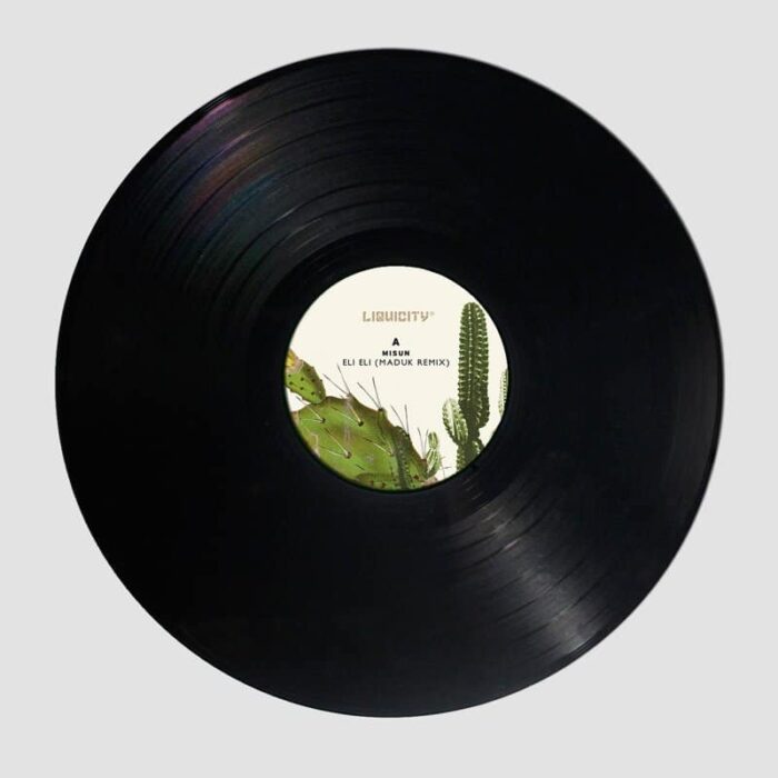 vinyl-maduk-elia Maduk - Summer Remixes