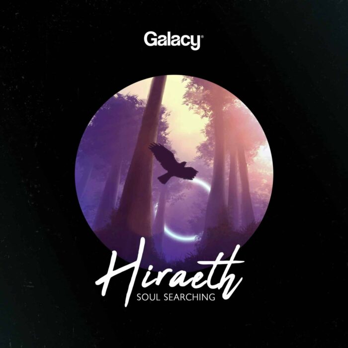 Hiraeth_Art_soulsearching_compressed Hiraeth - Soul Searching