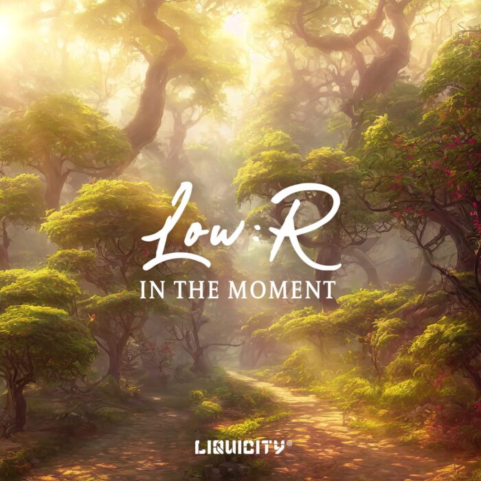 LowR_Art_V2 LOW:R - In The Moment