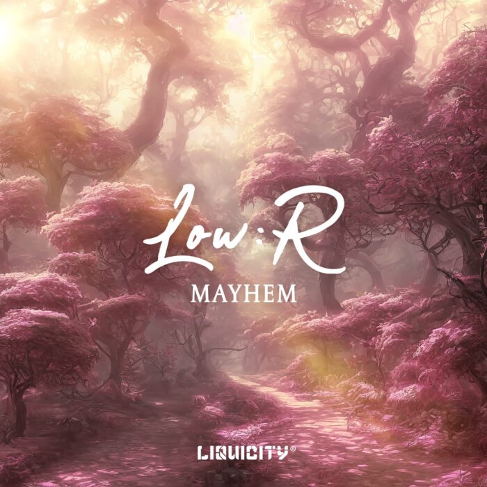 LowR_Art_Mayhem LOW:R - Mayhem