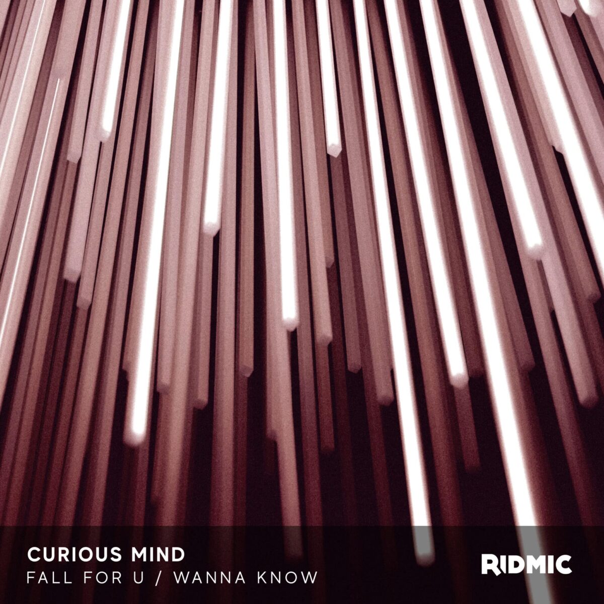 Curious Mind - Fall For U / Wanna Know
