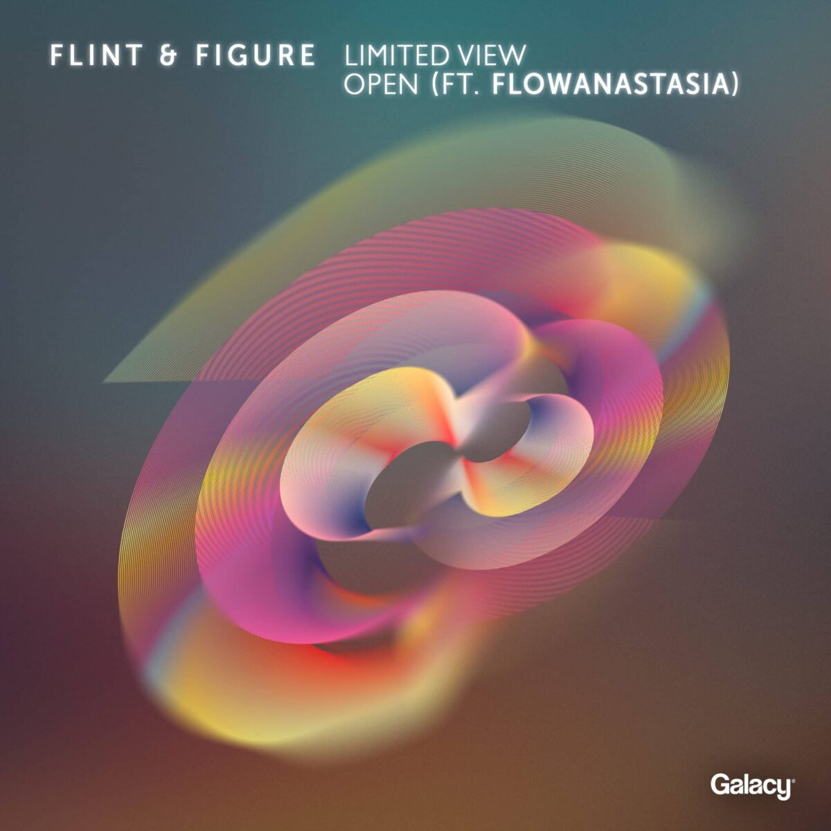 Flint & Figure - Limited View / Open
