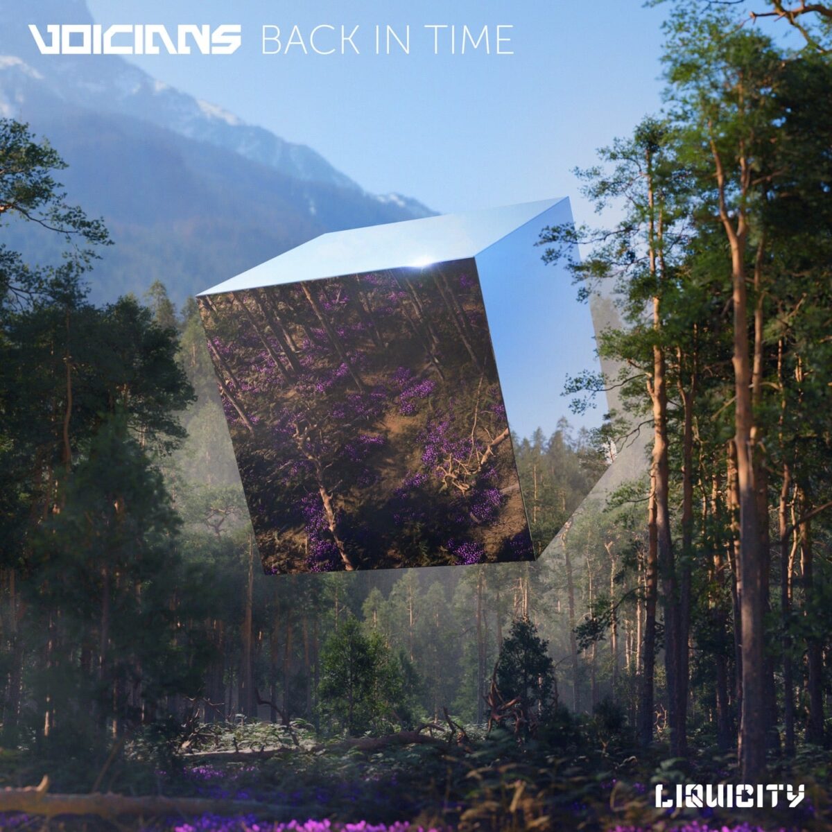 Voicians - Back In Time