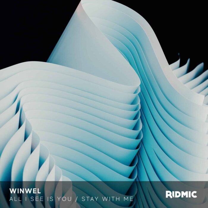 RIDMIC WINWEL WinWel - All I See Is You / Stay With Me