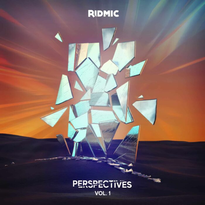 PERSPECTIVEVOL1 Ridmic - Perspectives Volume 1