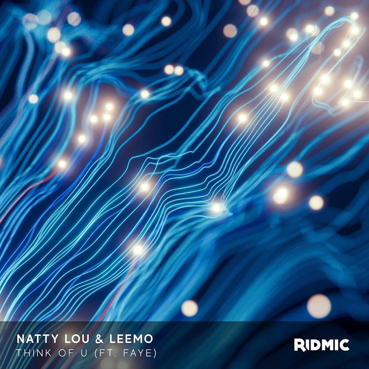 Natty Lou & Leemo - Think Of U ft. Faye