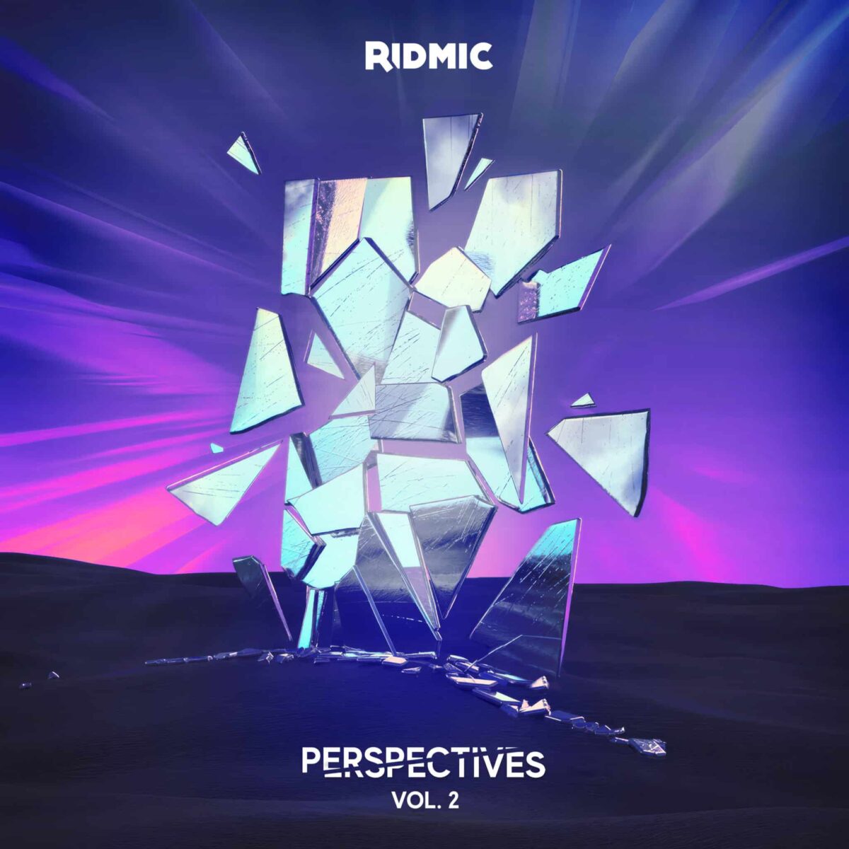Ridmic - Perspectives Volume 2