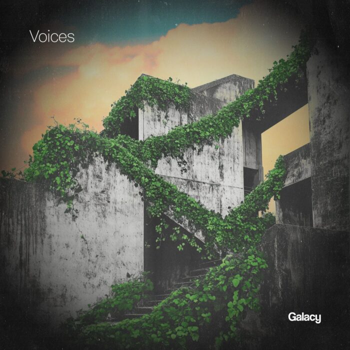 GLCY25_Voices Galacy - Voices