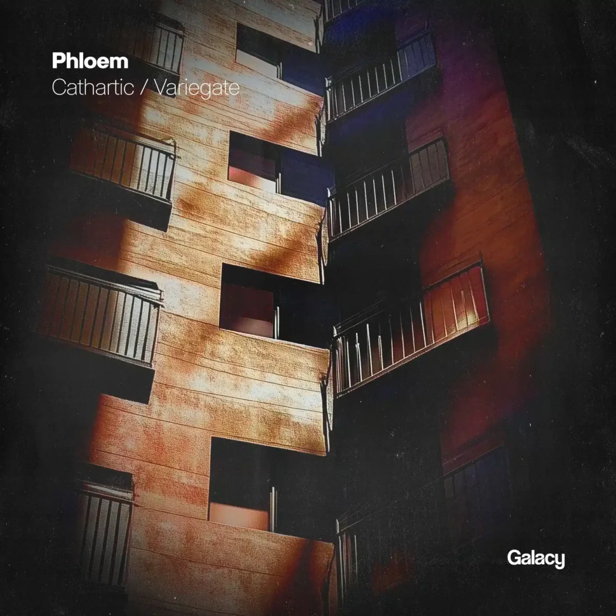 Phloem - Cathartic / Variegate