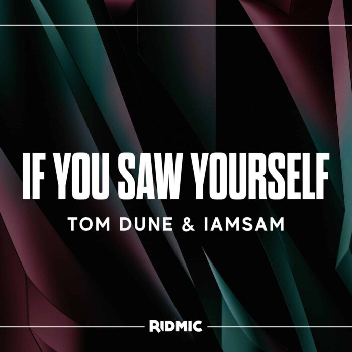If You Saw Yourself Tom Dune & IAMSAM - If You Saw Yourself