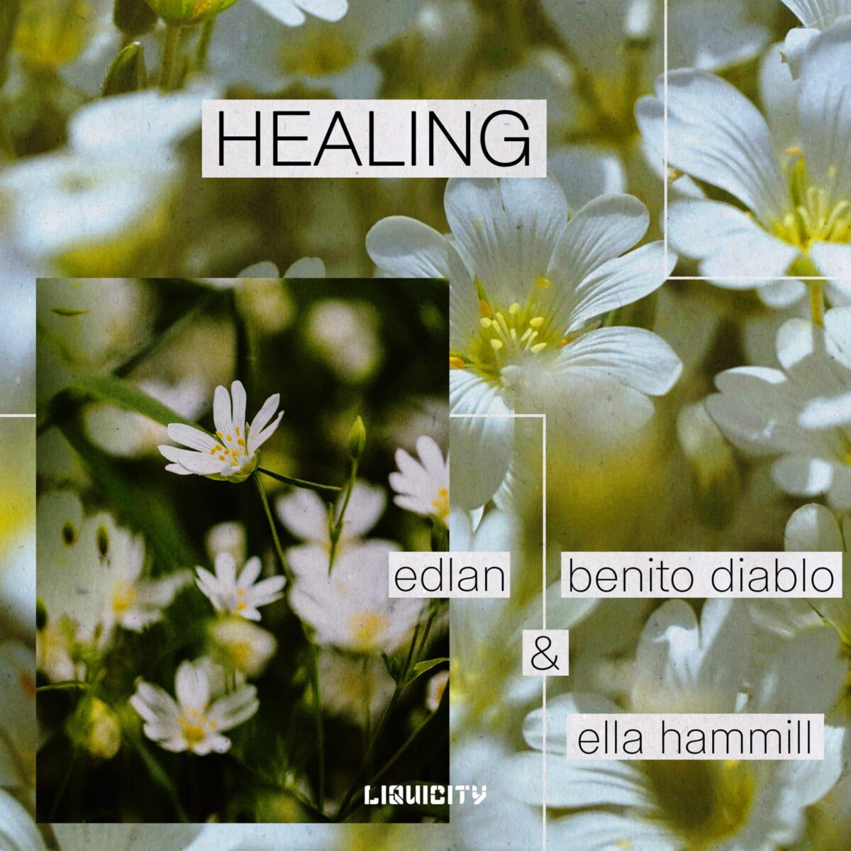 Edlan x Benito Diablo x Ella Hammill - Healing