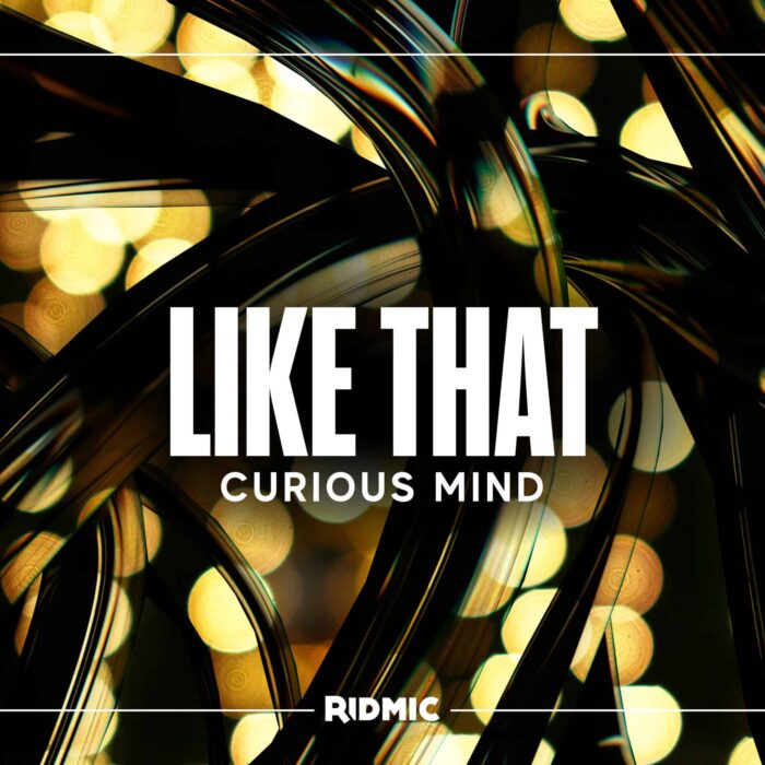 V1 Curious Mind - Like That