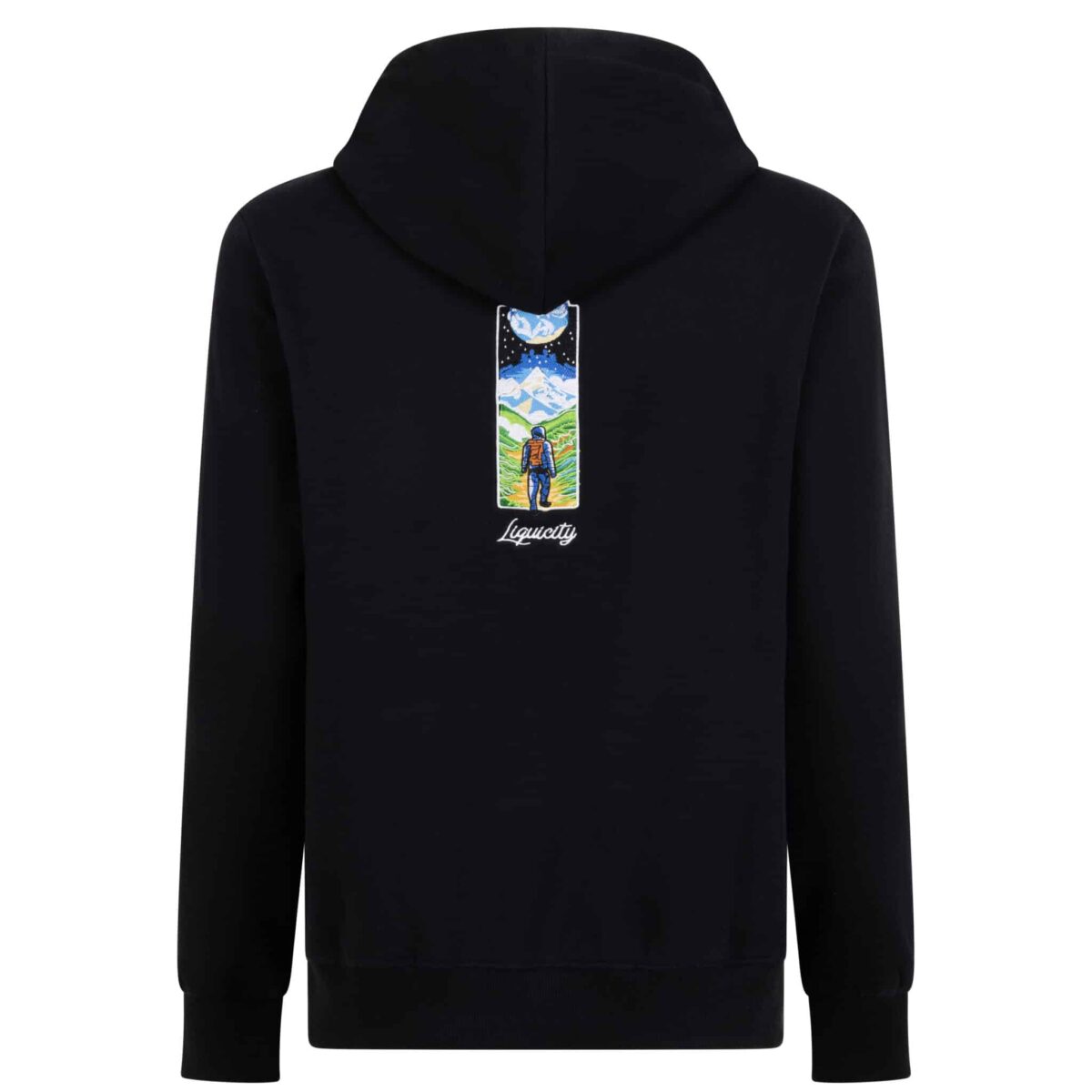 IMG_0037 Hoodie Pixel Paradise