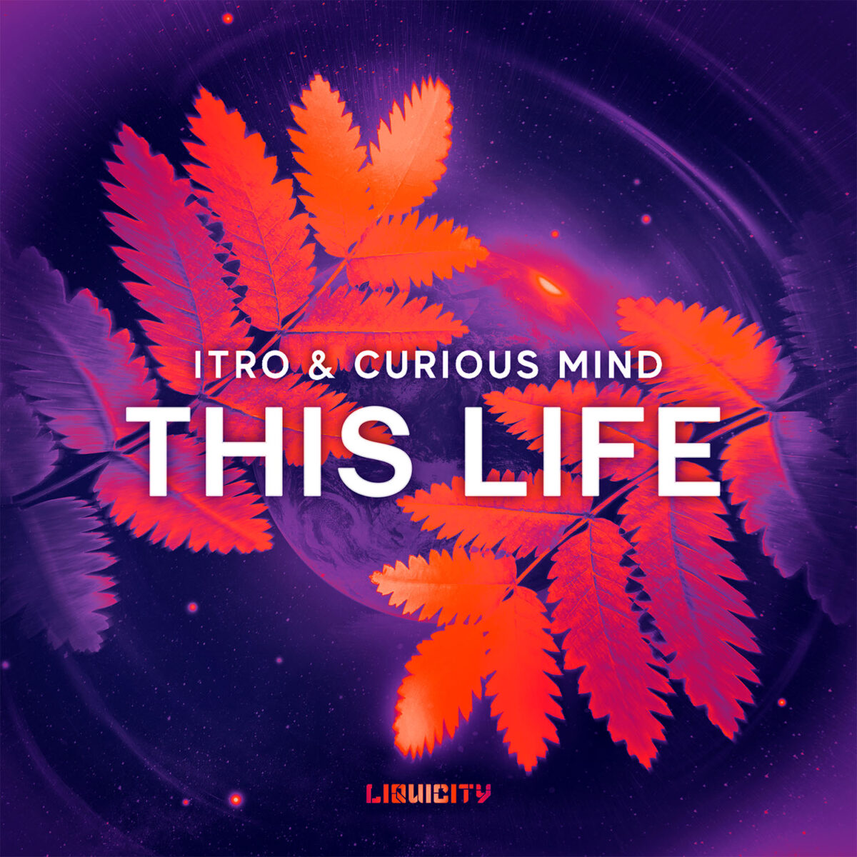 This Life compressed Itro & Curious Mind - This Life